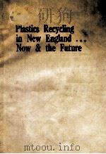 PLASTICS RECYCLING IN NEW ENGLAND... NOW & THE FUTURE(科技资料) PDF电子版封面