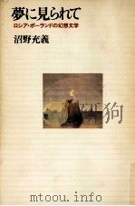 夢に見られて 1990.08 PDF电子版封面 沼野充義