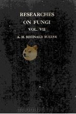 RESEARCHES ON FUNGI BOL VII（ PDF版）