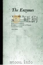 THE ENZYMES VOLUME X THIRD EDITION（ PDF版）