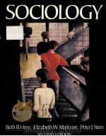 SOCIOLOGY SECOND EDITION 1985 PDF电子版封面 0023543507