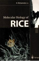 MOLECULAR BIOLOGY OF RICE（ PDF版）