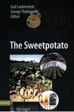 THE SWEETPOTATO PDF电子版封面