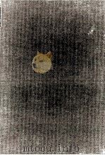 西谷啓治著作集 8 1986-1995 PDF电子版封面 西谷啓治