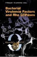 BACTERIAL VIRULENCE FACTORS AND RHO GTPASES     PDF电子版封面  3540238654   