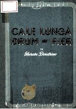 CALE LUNGA DRUM DE FIER（ PDF版）
