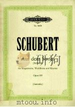FRANZ SCHUBERT AUF DEM STROM（ PDF版）