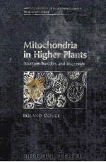MITOCHONDRIA IN HIGHER PLANTS PDF电子版封面 0122212801