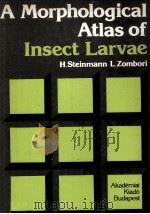 A MORPHOLOGICAL ATLAS OF INSECT LARVAE（ PDF版）