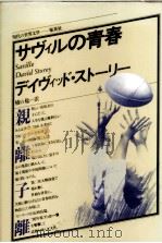サヴィルの青春 1983.08 PDF电子版封面 Storey