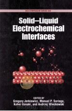 Solid-Liquid Electrochemical Interfaces（1997 PDF版）