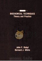 BIOCHEMICAL TECHNIQUES THEORY AND PRACTICE（1987 PDF版）