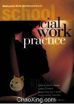 MULTISYSTEM SKILLS AND INTERVERNTIONS IN SCHOOL SOCIAL WORK PRACTICE（1998 PDF版）