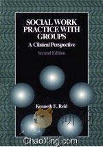 SOCIAL WORK PRACTICE WITH GROUPS A CLINICAL PERSPECTIVE 1997 PDF电子版封面 0534345484