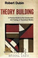 THEORY BUILDING 1969 PDF电子版封面