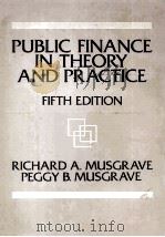 PUBLIC FINANCE IN THEORY AND PRACTICE FIFTH EDITION（1989 PDF版）