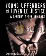 YOUNG OFFENDERS AND JUVENILE JUSTICE A CENTURY AFTER THE FACT 1999 PDF电子版封面 0176049312