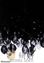 LA TRAVIATA OPER IN DREI AKTEN 1961 PDF电子版封面