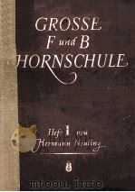 GROSSE F-FUND B-HORNSCHULE PDF电子版封面