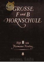 GROSSE F-UND B-HORNSCHULE（ PDF版）