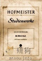 STWIENWERKE（ PDF版）