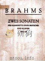 ZWEI SONATEN FUR KLARINETTE UND KLAVIER OPUS 120 PDF电子版封面