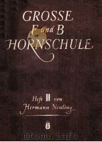 GROSSE F-UND B-HORNSCHULE     PDF电子版封面     