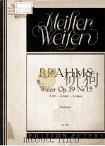 MEIFTER WELFEN BRAHMS WALER OP.39 NR.15 PDF电子版封面