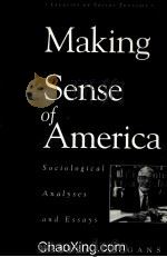 MAKING SENSE OF AMERICA  SOCIOGICAL ANALYSES AND ESSAYS（1999 PDF版）