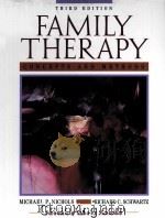 FAMILY THERAPY  CONCEPTS AND METHODS  THIRD EDITION（1984 PDF版）
