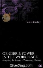 GENDER AND POWER IN THE WORKPLACE ANALYSING THE IMPACT OF ECONOMIC CHANGE 1999 PDF电子版封面 0333681770