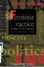 FEMINIST PRACTICE IN THE 21 ST CENTURY 1995 PDF电子版封面 0871012448