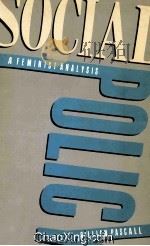 SOCIAL POLICY  A FEMINIST ANALYSIS（1986 PDF版）