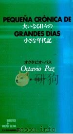 大いなる日々の小さな年代記 1993.03 PDF电子版封面 Paz