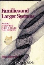 FAMILIES AND LARGER SYSTEMS A FAMILY THERAPIST‘S GUIDE THROUGH THE LABYRINTH 1988 PDF电子版封面 0898621003