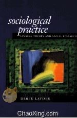 SOCIOLOGICAL PRACTICE LINKING THEORY AND SOCIAL RESEARCH 1998 PDF电子版封面 0761954309