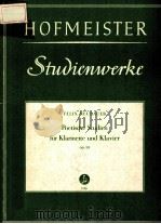POETISCHE STUDIEN FUR KLARINETTE UND KLAVIER OP.10     PDF电子版封面     