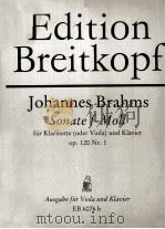 JOHANNES BRAHMS SONATE F-MOLL PDF电子版封面