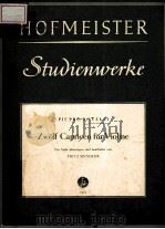 ZWOLF CAPRICEN FUR VIOLINE     PDF电子版封面     
