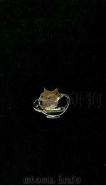 手紙の歴史 1976.09 PDF电子版封面 小松茂美