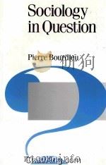 SOCIOLOGY IN QUESTION 1993 PDF电子版封面 0803983387