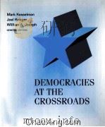 DEMOCRACIES AT THE CROSSROADS 1996 PDF电子版封面 0669332038