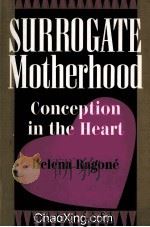 SURROGATE MOTHERHOOD 1994 PDF电子版封面 081331979X