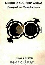 GENDER IN SOUTHERN AFRICA  CONCEPTUAL AND THEORETICAL ISSUES（1992 PDF版）