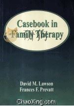 CASEBOOK IN FAMILY THERAPY（1999 PDF版）