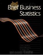 BRIEF BUSINESS STATISTICS 1988 PDF电子版封面 0205110908