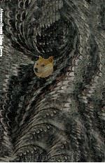アルラウネ 上 1979.08 PDF电子版封面 Ewers
