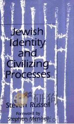 JEWISH IDENTITY AND CIVILIZING PROCESSES 1996 PDF电子版封面 0312158785