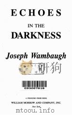 ECHOES IN THE DARKNESS（1987 PDF版）