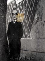 坪田譲治作品の背景 1984.04 PDF电子版封面 坪田理基男